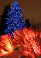 xmaslights04.htm