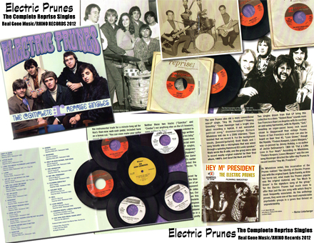 Electric Prunes - The Complete Reprise Singles - Reissued 2012 - damprock.com